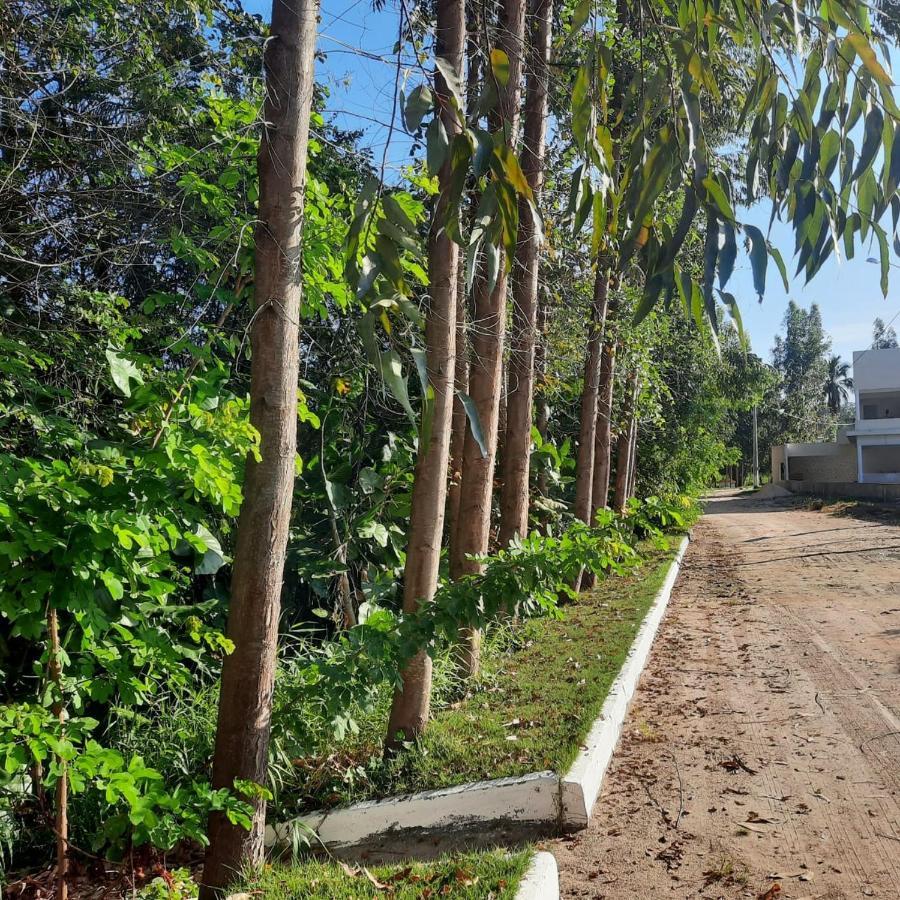 Viva! 1 Casa Nova Em Condominio Entre Maragogi E Carneiros São José da Coroa Grande Buitenkant foto